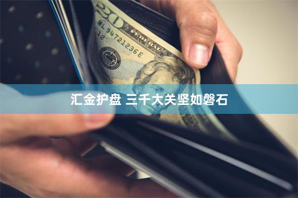 汇金护盘 三千大关坚如磐石