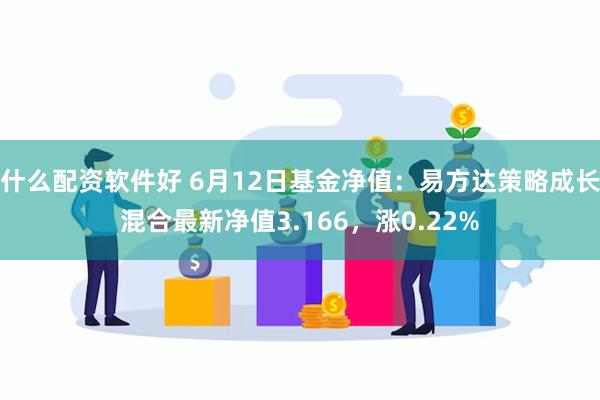 什么配资软件好 6月12日基金净值：易方达策略成长混合最新净值3.166，涨0.22%