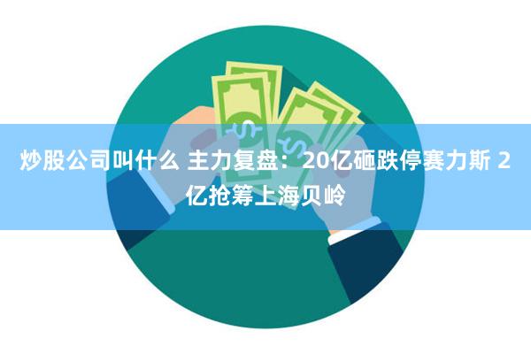 炒股公司叫什么 主力复盘：20亿砸跌停赛力斯 2亿抢筹上海贝岭