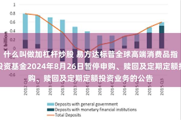 什么叫做加杠杆炒股 易方达标普全球高端消费品指数增强型证券投资基金2024年8月26日暂停申购、赎回及定期定额投资业务的公告