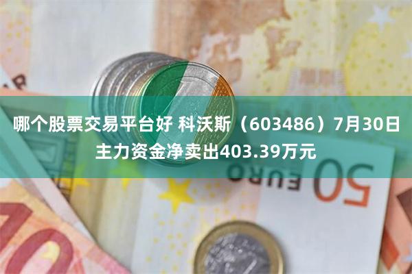 哪个股票交易平台好 科沃斯（603486）7月30日主力资金净卖出403.39万元