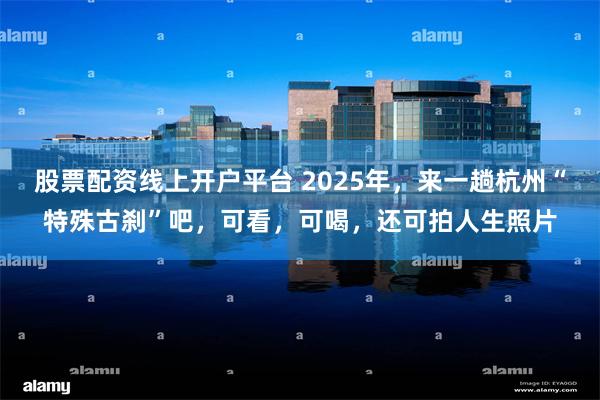 股票配资线上开户平台 2025年，来一趟杭州“特殊古刹”吧，可看，可喝，还可拍人生照片