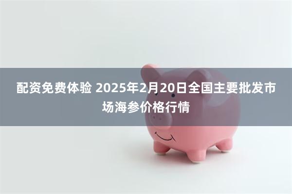 配资免费体验 2025年2月20日全国主要批发市场海参价格行情